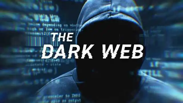 elysium darknet elysium market - premium quality